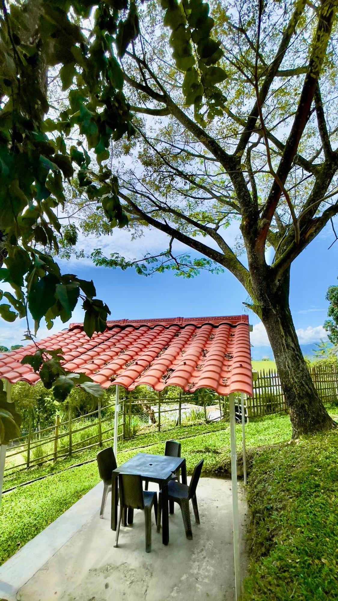 Loto Del Viento Hotel Cartago Kültér fotó